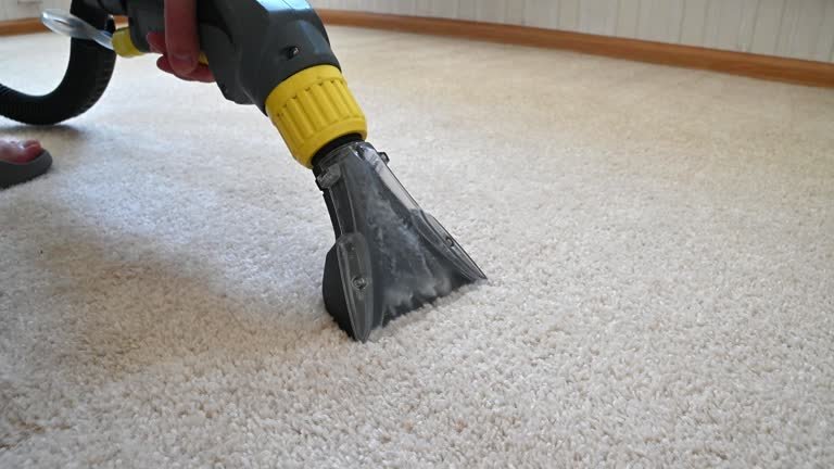 Carpet Cleaning Portfolio 5