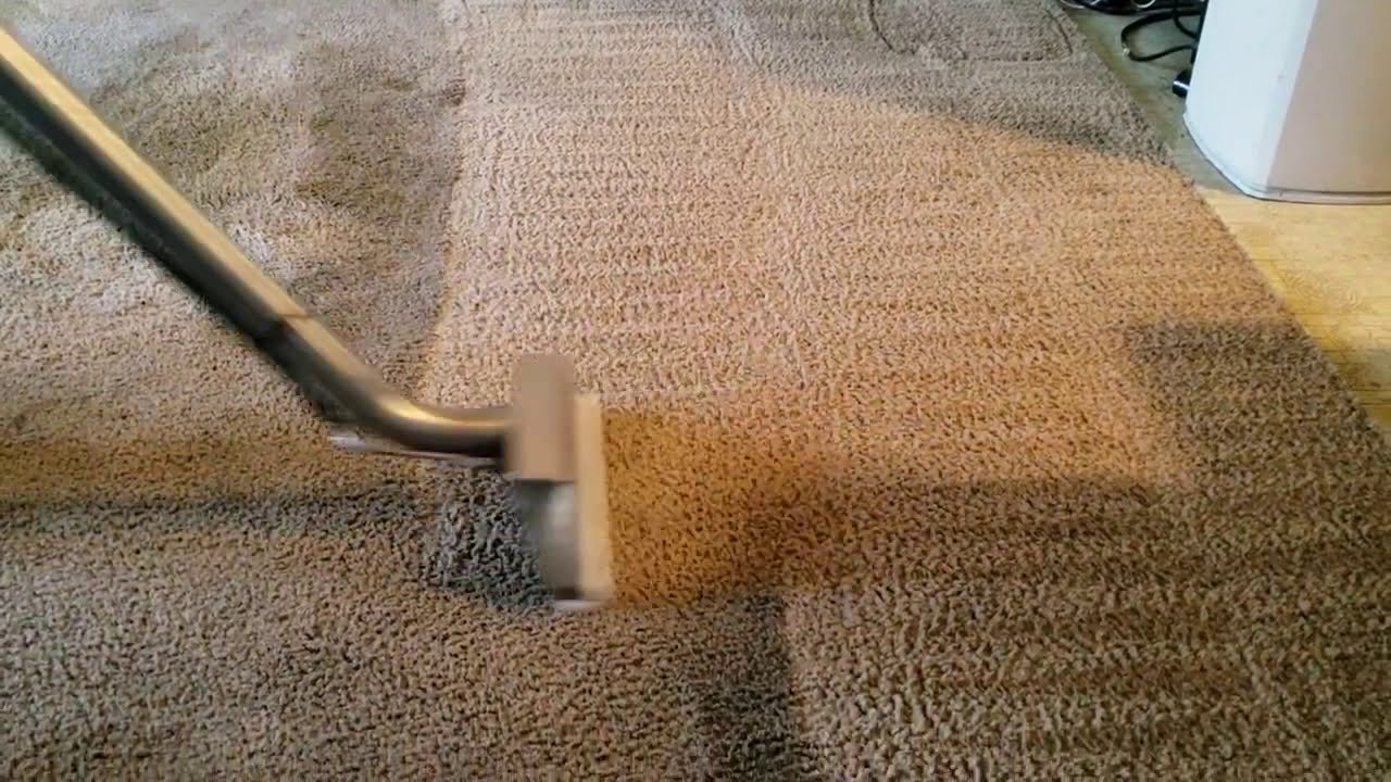 Carpet Cleaning Portfolio 12